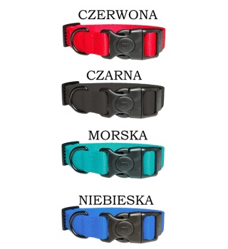Obroża dla psa z grawerem i klamrą z blodaką S/M