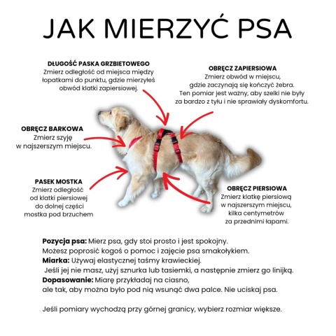 Szelki antyucieczkowe dla psa