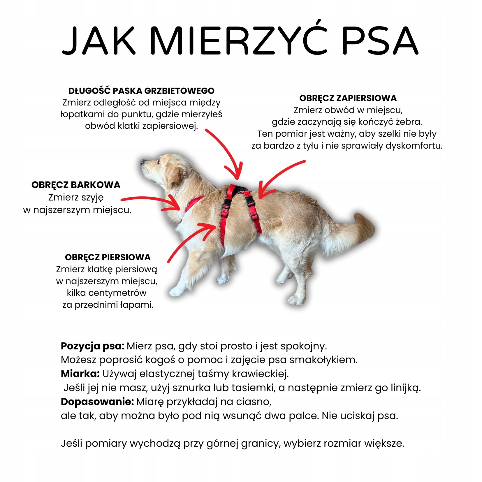 jak-mierzyc.jpeg